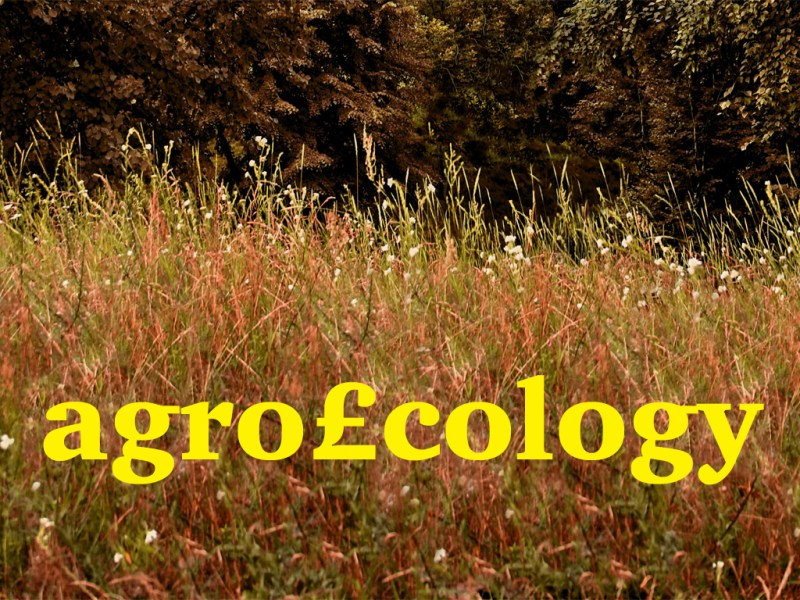 How agroecology could save the government&nbsp;billions